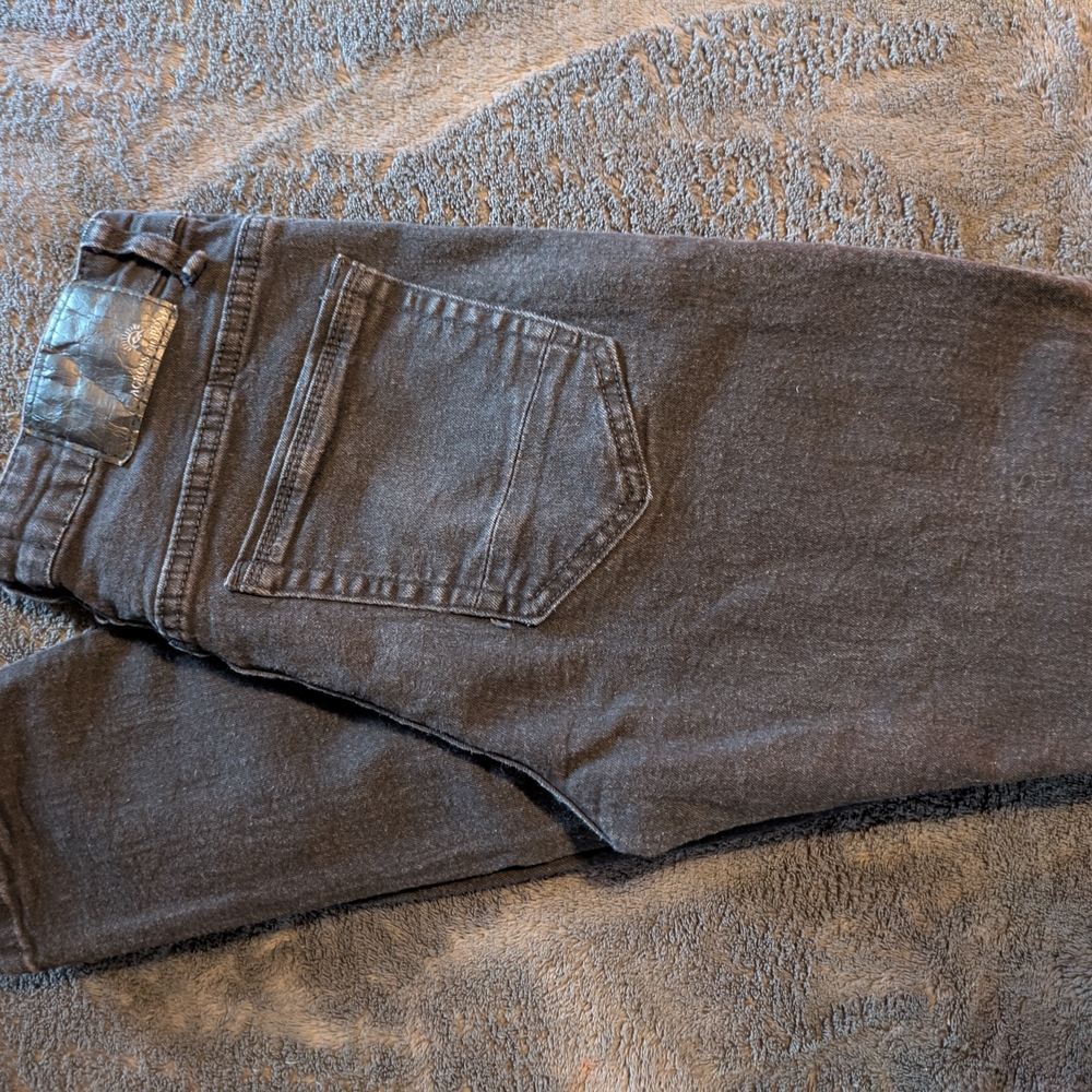 Women's Dark Gray Jeggings - Stretch High-Rise Fit